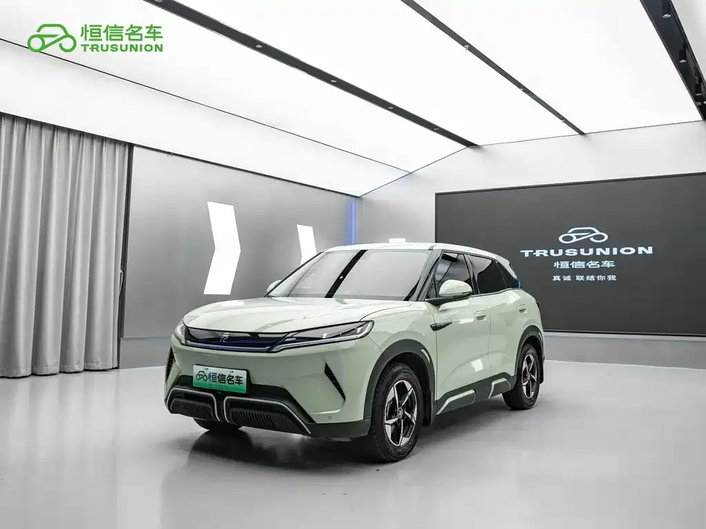 2024 BYD Yuan UP 401km Leading