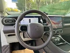 2023 Leapmotor C11 EV 500 Comfort — фото 7