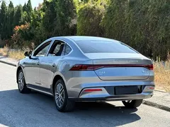 2023 BYD Qin PLUS Champion DM-i PHEV 120km — фото 4