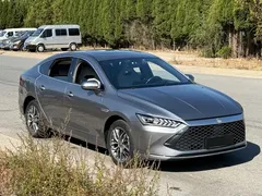 2023 BYD Qin PLUS Champion DM-i PHEV 120km — фото 7