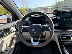 2023 BYD Qin PLUS Champion DM-i PHEV 120km — фото 12
