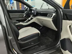 2021 BYD Song PLUS EV Premium — фото 8