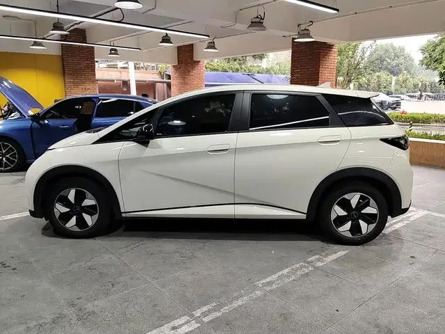 2025 BYD Dolphin 420km Freedom