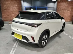 2025 BYD Dolphin 420km Freedom, белый — фото 4