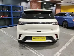 2025 BYD Dolphin 420km Freedom, белый — фото 8