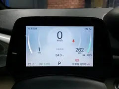 2025 BYD Dolphin 420km Freedom, белый — фото 14