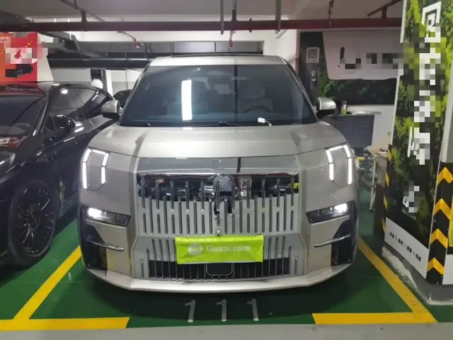 2022 Zeekr 009 WE