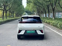 2025 BYD Seagull EV 305km, белый — фото 3