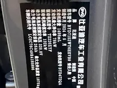 2024 BYD Qin PLUS Honor DM-i PHEV 55km Leading — фото 13