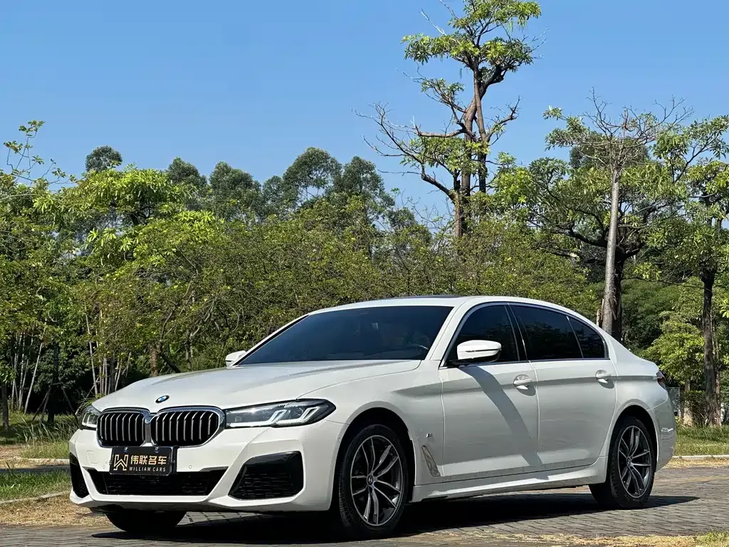 2021 BMW 5 Series 525Li M Sport Package