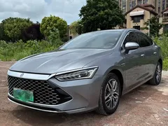 2023 BYD Qin PLUS Champion EV 510km — фото 1