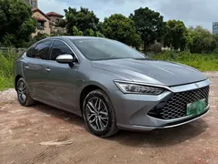2023 BYD Qin PLUS Champion EV 510km — фото 3
