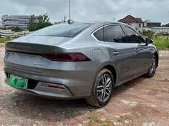 2023 BYD Qin PLUS Champion EV 510km — фото 5
