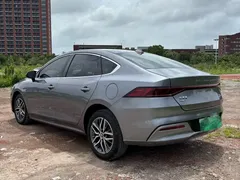 2023 BYD Qin PLUS Champion EV 510km — фото 6