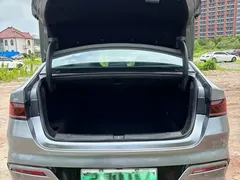 2023 BYD Qin PLUS Champion EV 510km — фото 7