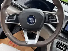 2023 BYD Qin PLUS Champion EV 510km — фото 15