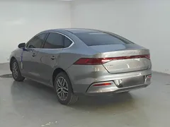 2024 BYD Qin PLUS EV 420km Leading — фото 5