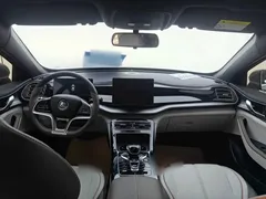 2024 BYD Qin PLUS EV 420km Leading — фото 9