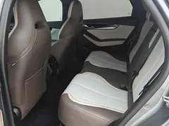 2024 BYD Qin PLUS EV 420km Leading — фото 12