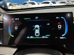 2024 BYD Qin PLUS EV 420km Leading — фото 13