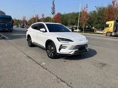 2025 BYD Song PLUS DM-i 112KM PHEV Premium, белый — фото 3