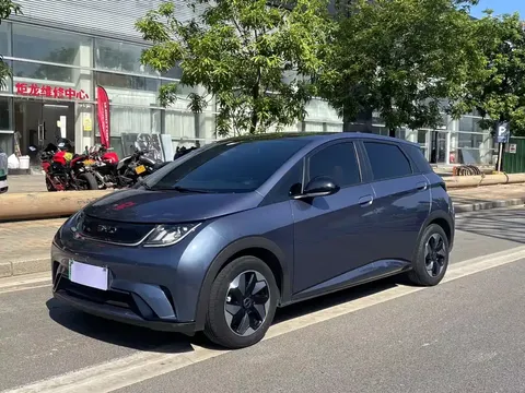 2024 BYD Dolphin Honor 420km Fashion