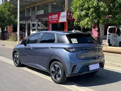2024 BYD Dolphin Honor 420km Fashion, синий — фото 6