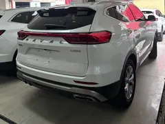 2023 Haval H6 1.5T AT Guochao Champion, белый — фото 9