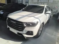 2021 Haval H6 1.5GDIT AT Guochao Champion, белый — фото 1