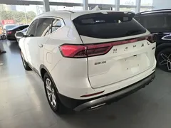 2021 Haval H6 1.5GDIT AT Guochao Champion, белый — фото 5