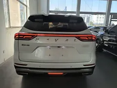 2021 Haval H6 1.5GDIT AT Guochao Champion, белый — фото 6