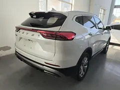 2021 Haval H6 1.5GDIT AT Guochao Champion, белый — фото 7