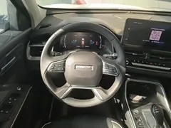 2021 Haval H6 1.5GDIT AT Guochao Champion, белый — фото 11