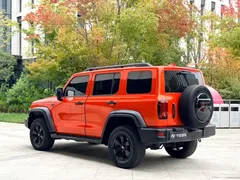 2021 Tank 300 Off-road 2.0T Conqueror — фото 22