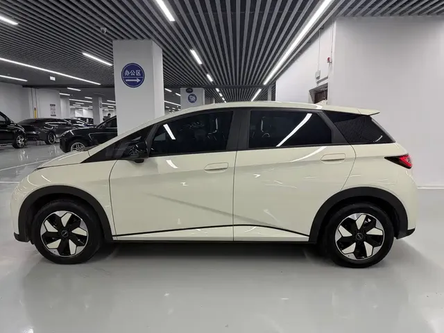 2025 BYD Dolphin 420km Freedom