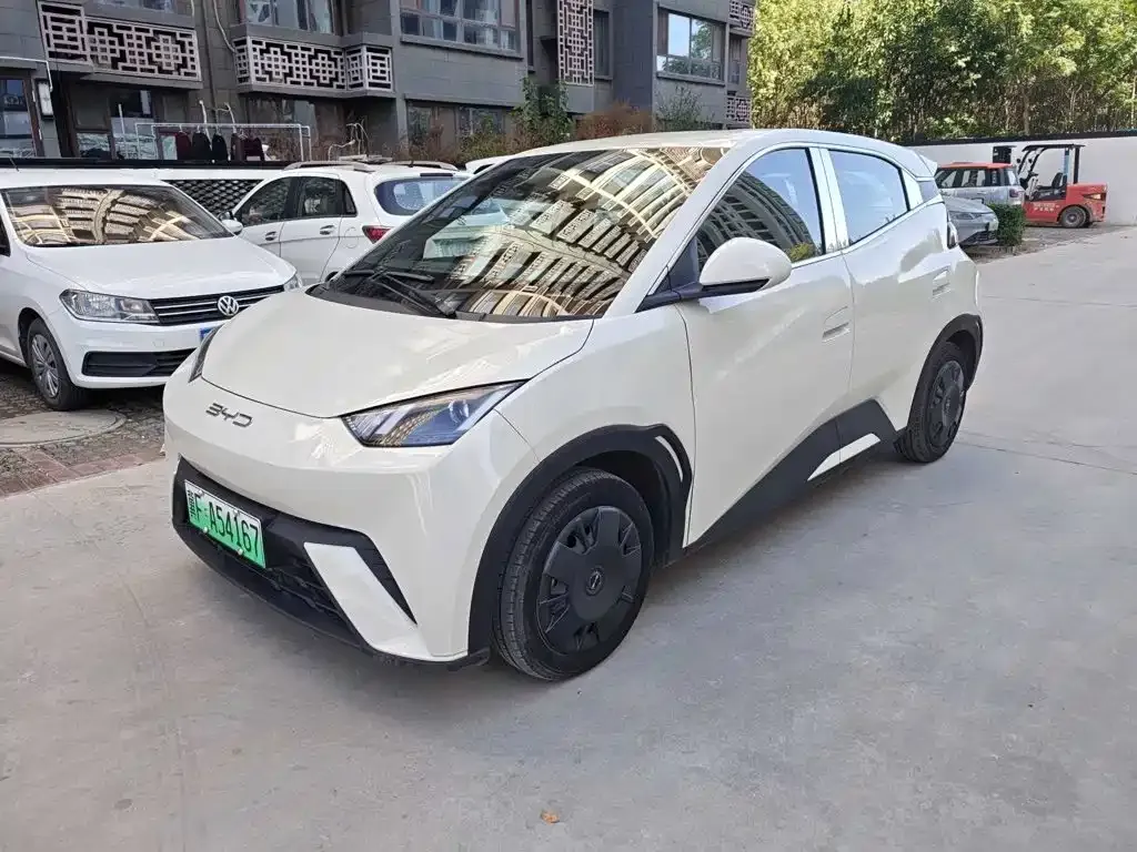2023 BYD Seagull Vitality