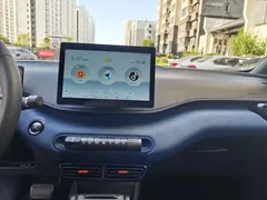 2023 BYD Seagull Vitality, белый — фото 10