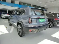 2024 Haval Dargo 2.0T DCT — фото 5