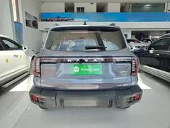 2024 Haval Dargo 2.0T DCT — фото 6