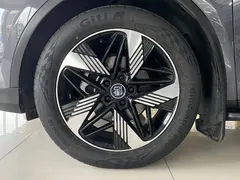 2024 BYD Tang DM-i PHEV Honor 112km Premium — фото 17