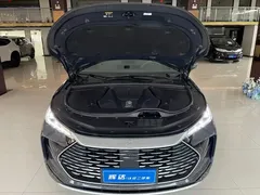 2024 BYD Tang DM-i PHEV Honor 112km Premium — фото 18