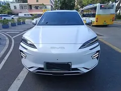2023 BYD Song PLUS Champion EV 520km Premium, белый — фото 3