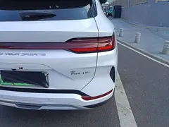 2023 BYD Song PLUS Champion EV 520km Premium, белый — фото 8