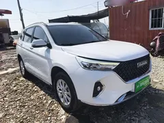 2021 Haval M6 PLUS 1.5T MT Luxury, белый — фото 4