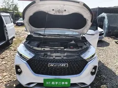 2021 Haval M6 PLUS 1.5T MT Luxury, белый — фото 20