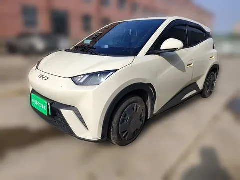 2025 BYD Seagull 305km Vitality