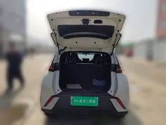 2025 BYD Seagull 305km Vitality, белый — фото 15