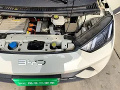 2025 BYD Seagull 305km Vitality, белый — фото 22