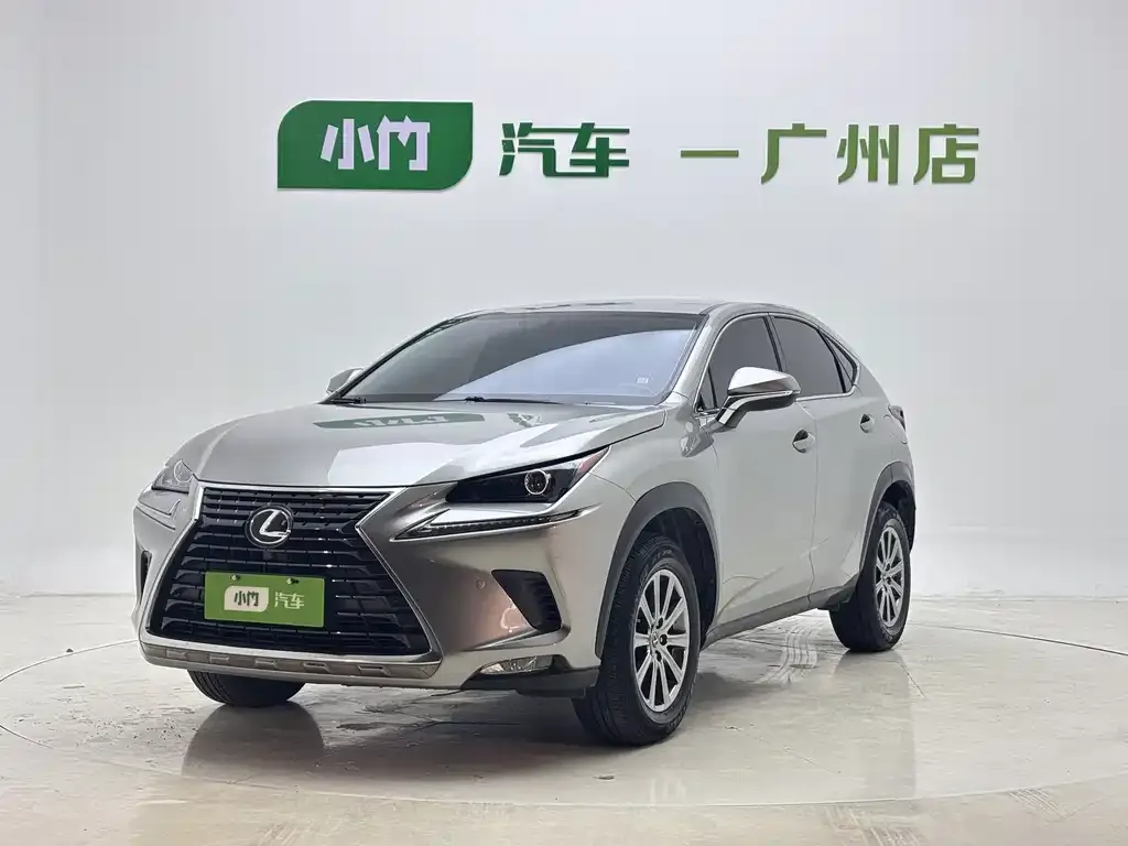 2020 Lexus NX 200 2WD Fengxing China VI