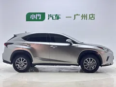 2020 Lexus NX 200 2WD Fengxing China VI — фото 2